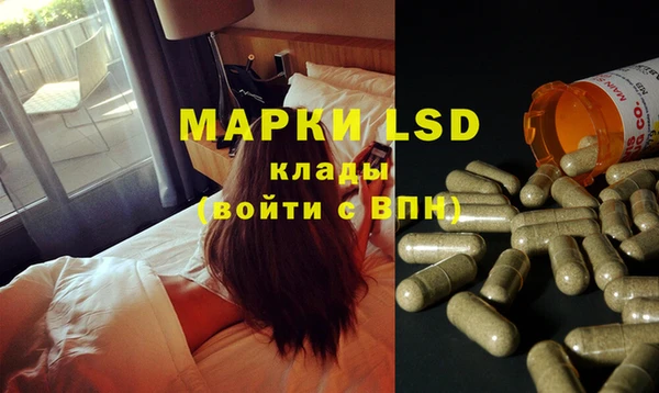 прущие грибы Алексин